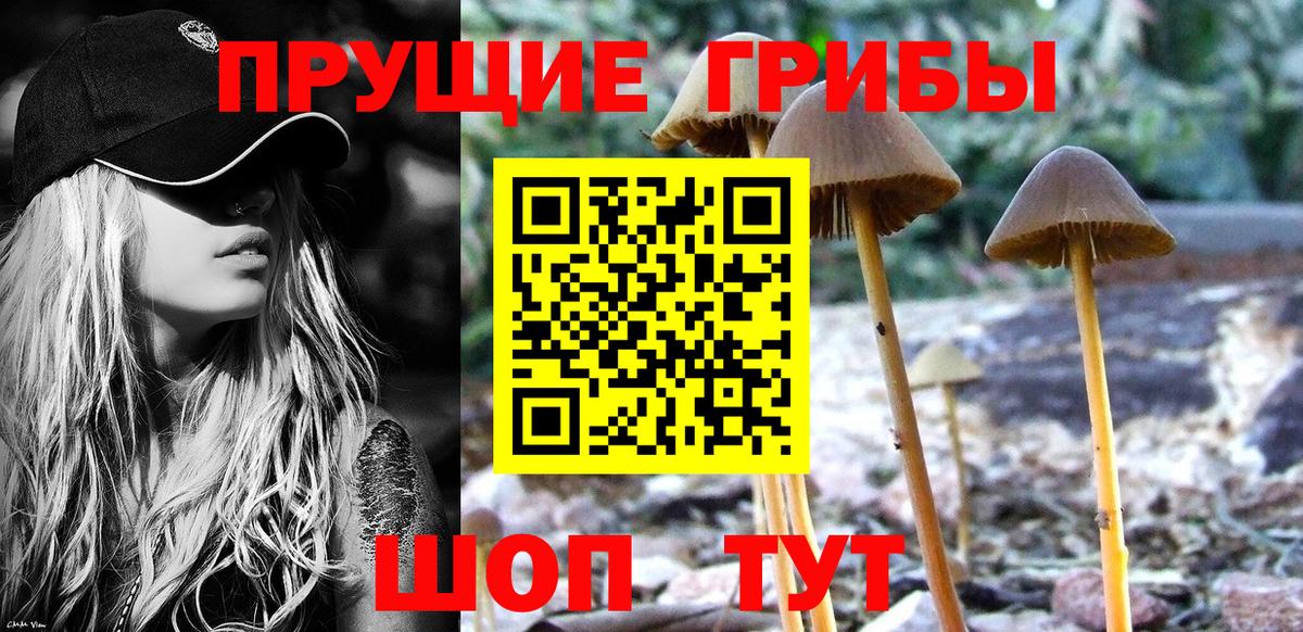 купить наркотики цена  Галлюциногенные грибы ЛСД  Вход с VPN  Россия 